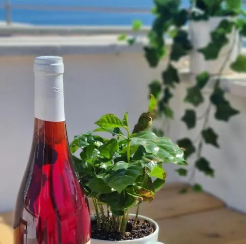 Terra Mia La Terrazza